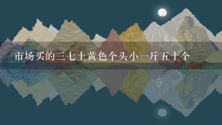 市場買的37土黃色個頭小1斤5十個