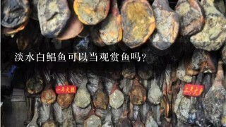 淡水白鯧魚可以當觀賞魚嗎？